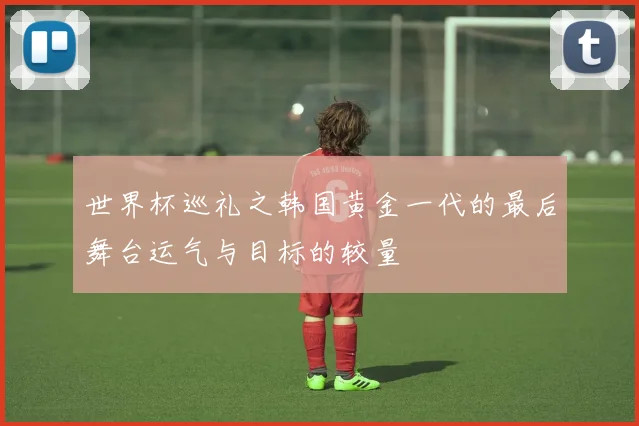 世界杯巡礼之韩国黄金一代的最后舞台运气与目标的较量