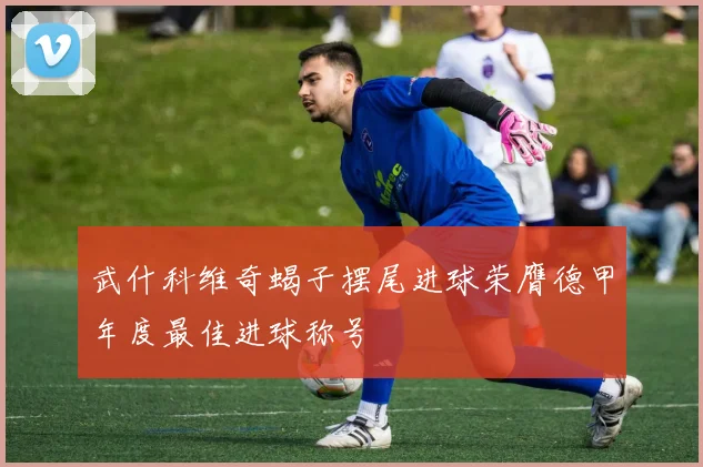 武什科维奇蝎子摆尾进球荣膺德甲年度最佳进球称号